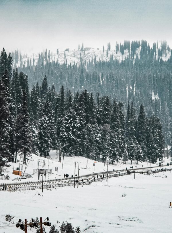 pexels-max07-11024977